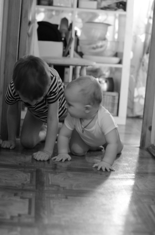 крошка-поползень