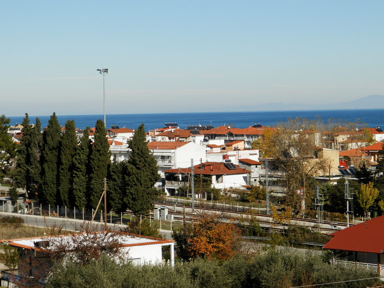 Лептокарья зимой