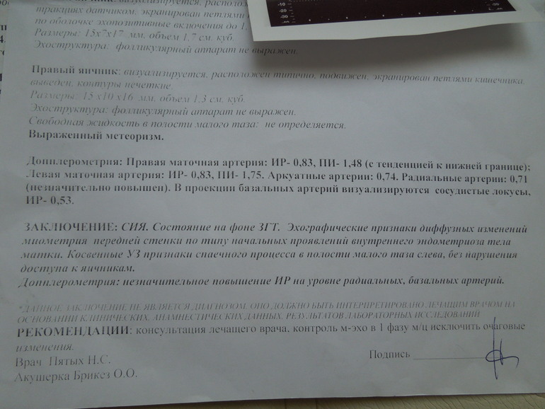 Допплер!!! И моя победа над кровотоком!!!