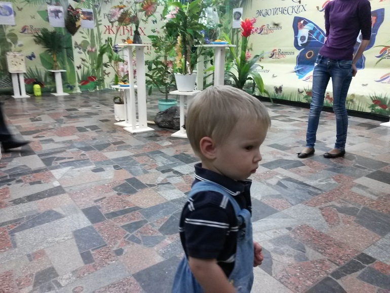 eed9671adeb058aa13e3a019b18506b2.jpg