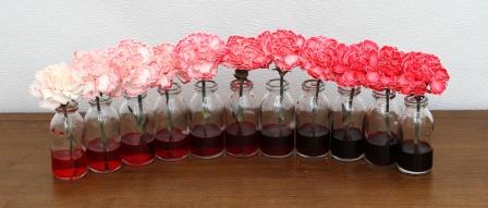 Изучаем окружающий мир