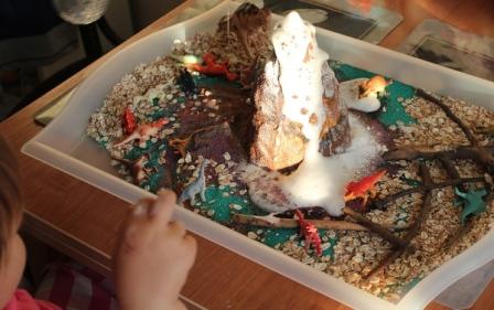 Изучаем окружающий мир