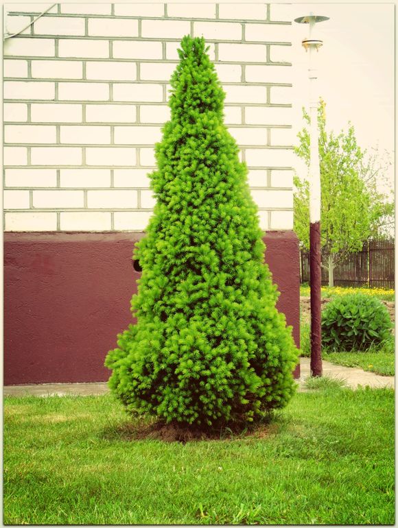 Дыхание природы... :) или наши радости за городом!