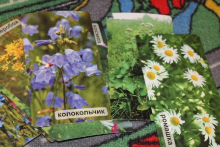 Мир на ладошке. Карточки