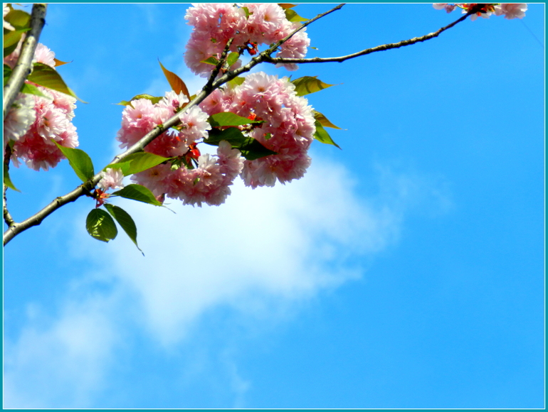 Прогулка по городу. Гляссе.