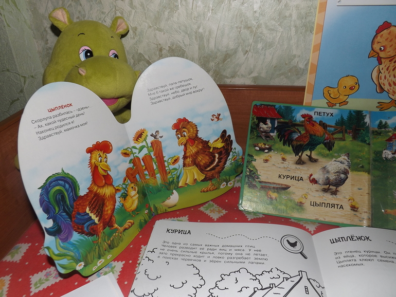 ТН "Лукошко сказок" 1 день