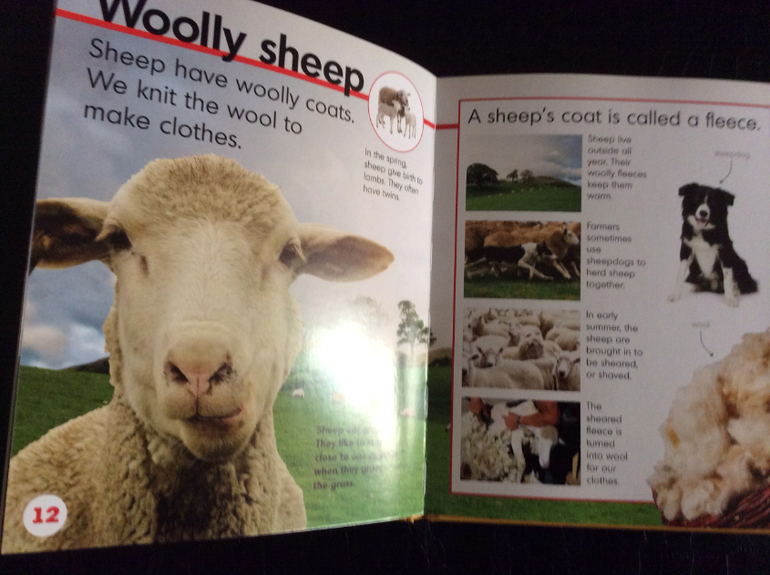 Новое пополнение