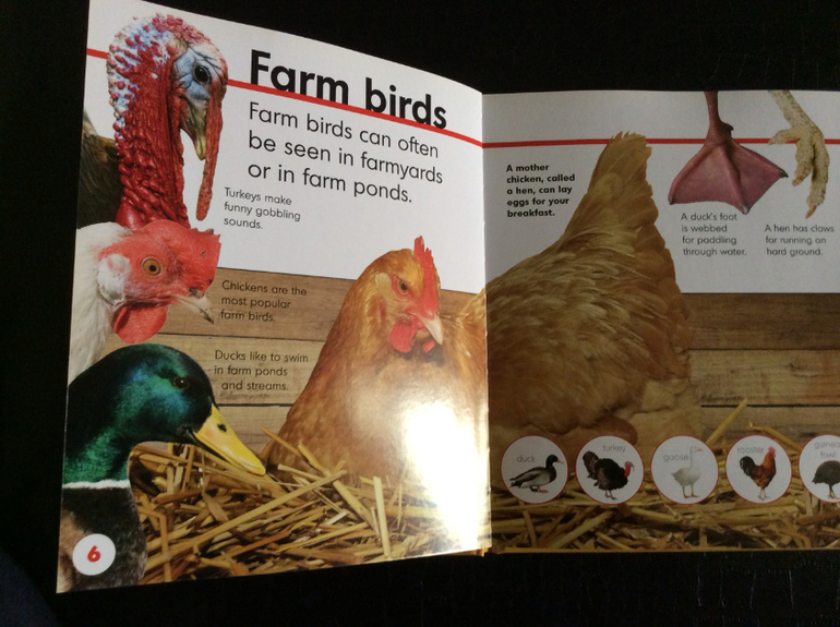 Новое пополнение