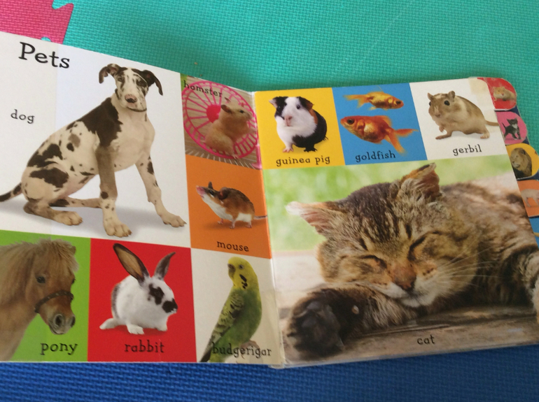 Наши самые первые книжки