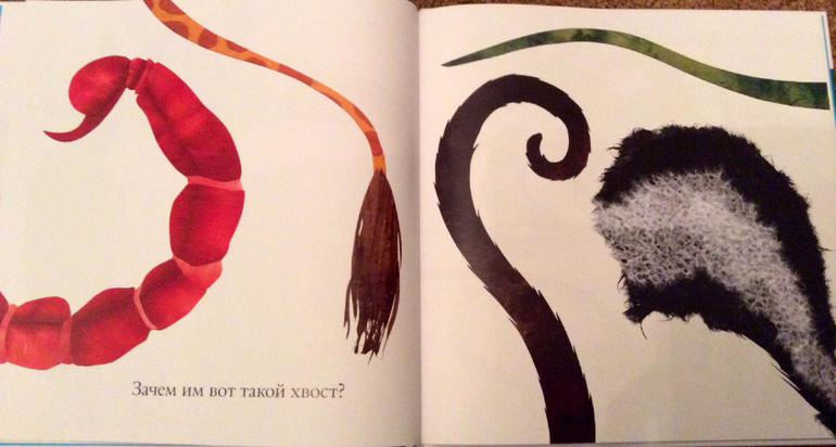 Интересные факты о животных