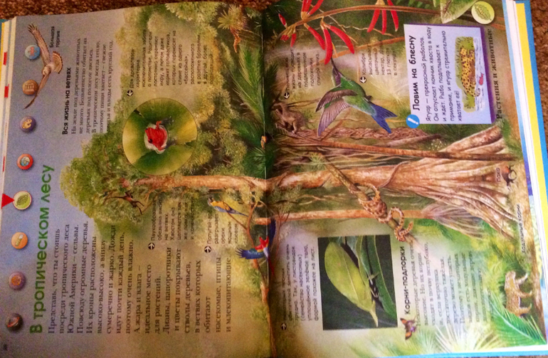 Первые энциклопедии