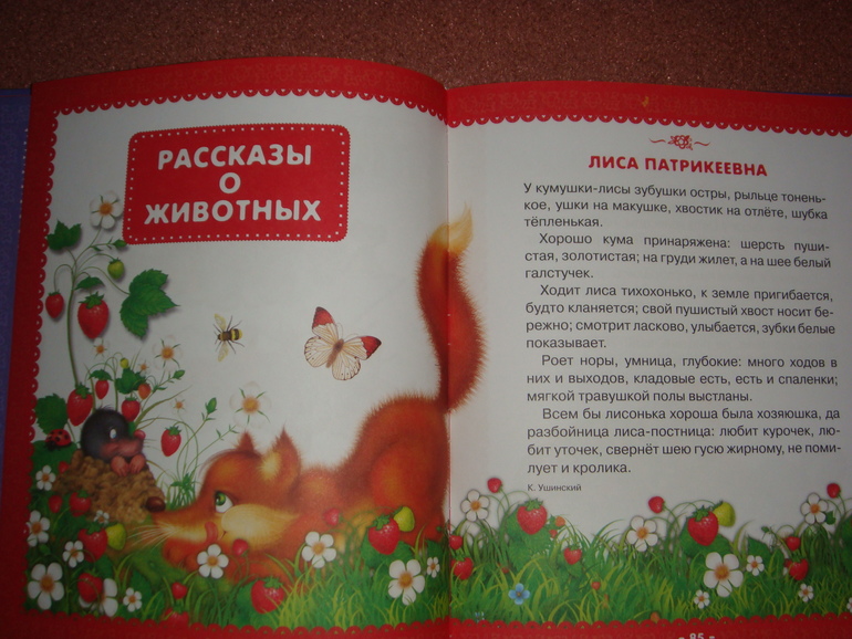 Наши любимые книги.