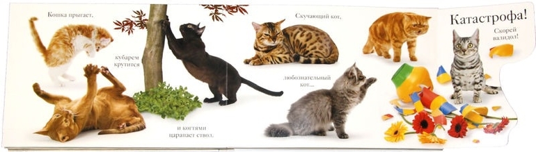 Книга с рычажками и тактильными вставками. МЯУ!