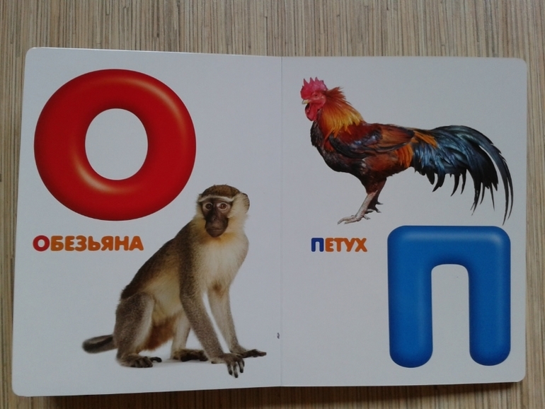 Живой алфавит.