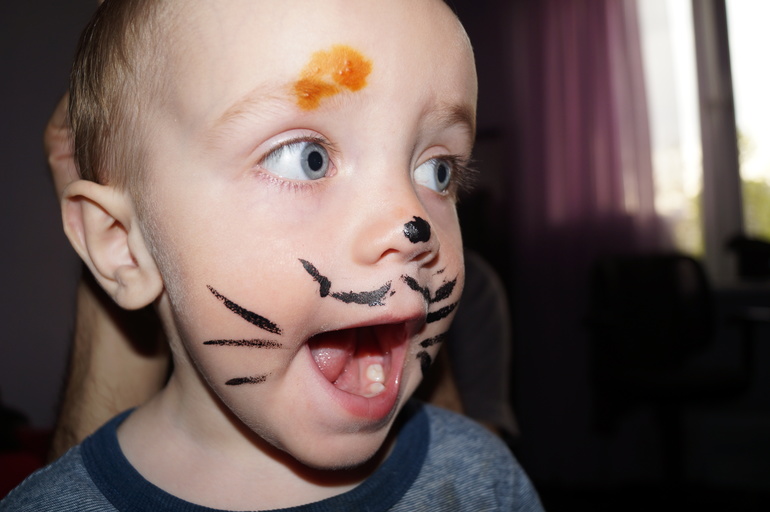 ТН Домашние животные