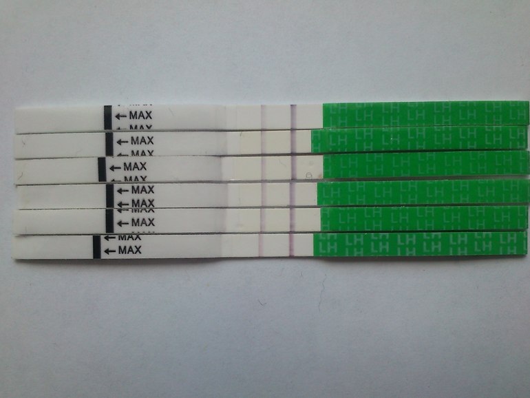 Ановуляторный?