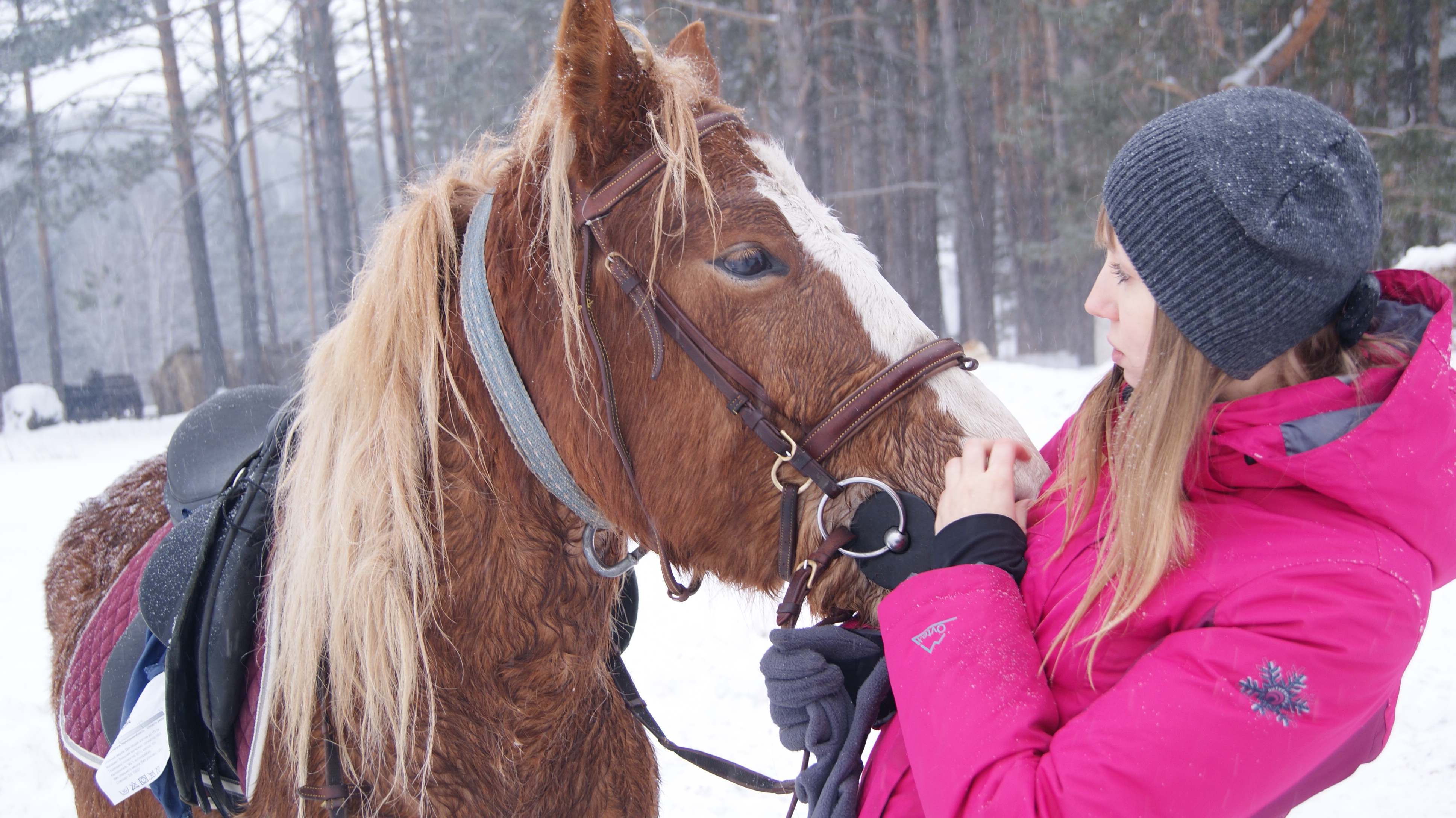 Мой личный зоопарк =)