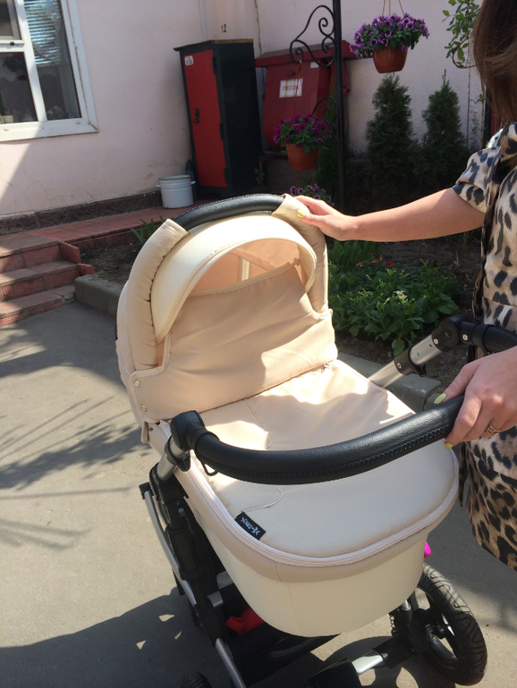 Наша Zekiwa Finesse