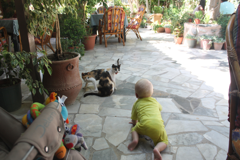 «Καλημέρα!» или «Приключения Боботика на Крите»