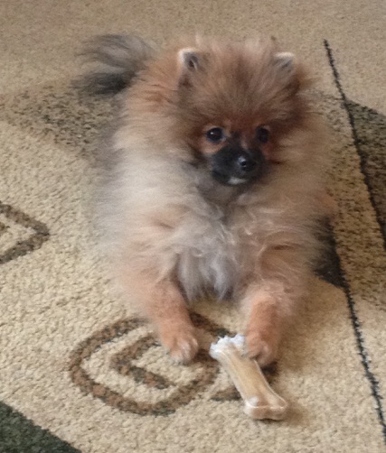 Немного о нас и конечно же вопросы)