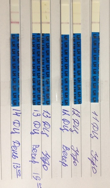 Тест на Овуляцию, первый раз!