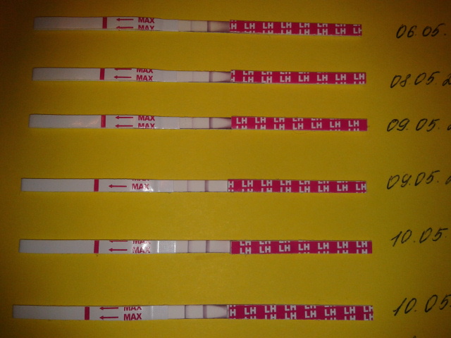 Овуляция?Или нет???