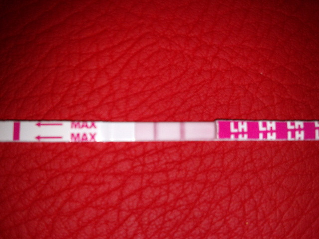 Овуляция?Или нет???