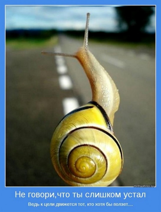 Взлёт 73. День 7.