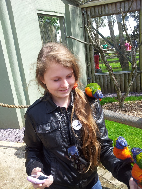 Drusillas park один из наших выходных