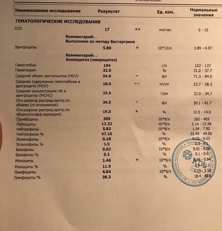 Mchc средняя концентрация hb в эритроците повышен
