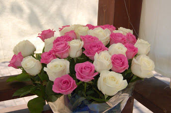 Пикник в стиле