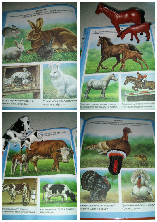 Наши игры с животными)