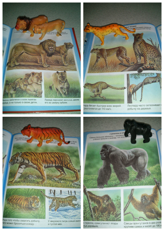 Наши игры с животными)