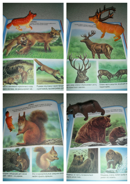 Наши игры с животными)