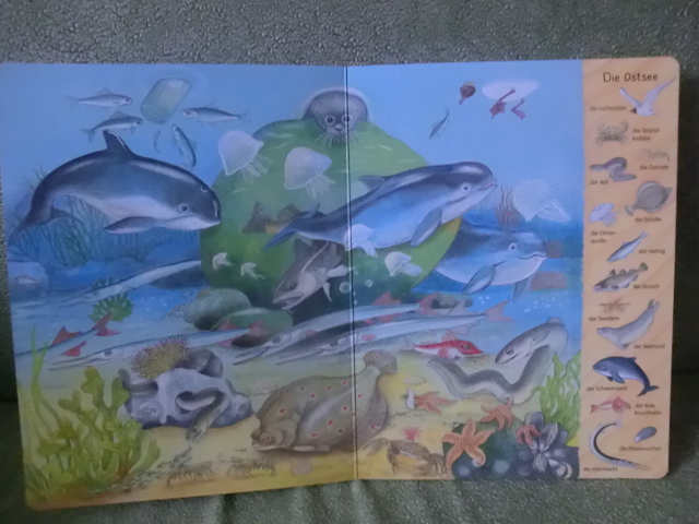 Виммельбух про морских обитателей или Mein erstes Wimmelbuch - Am Meer