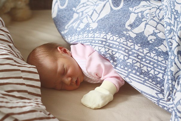 Жизнь с котиком