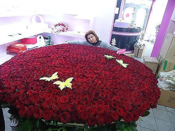 Привет я новичок=)