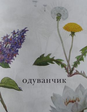 Тематическое занятие Одуванчик