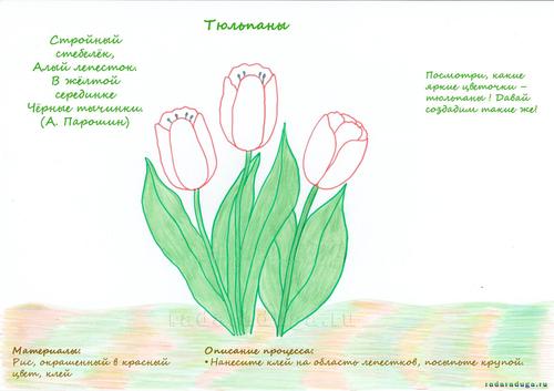 Тематическое занятие Тюльпан