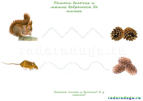 Тематическое занятие Шишки