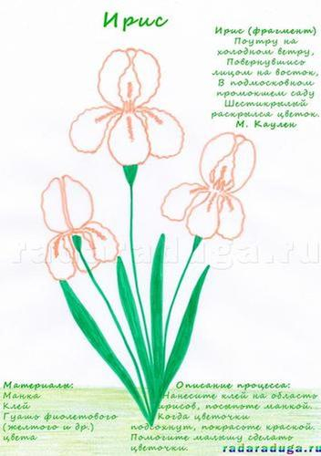 Летний альбом. Часть 1. Цветы. Творчество.