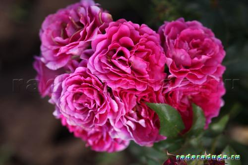 Цветочное творчество