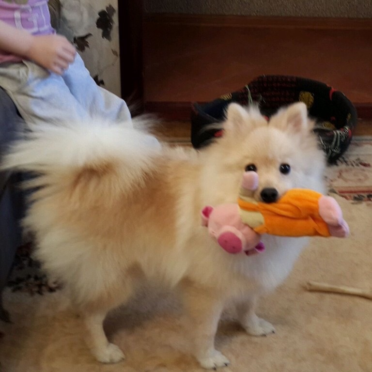 Кекс..