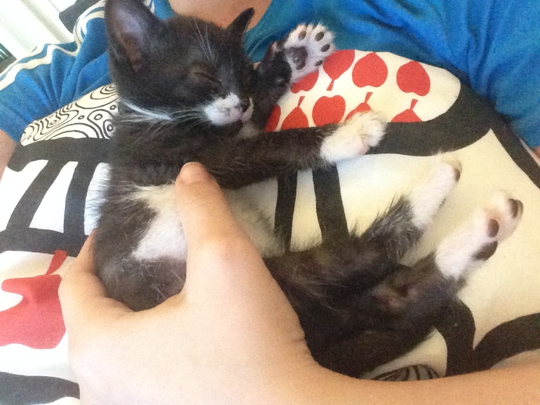 Путь талисмана: из заморыша в мимими)))