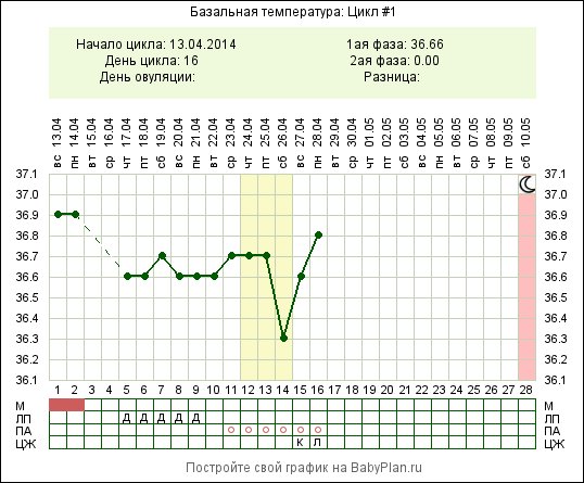 27 день цикла