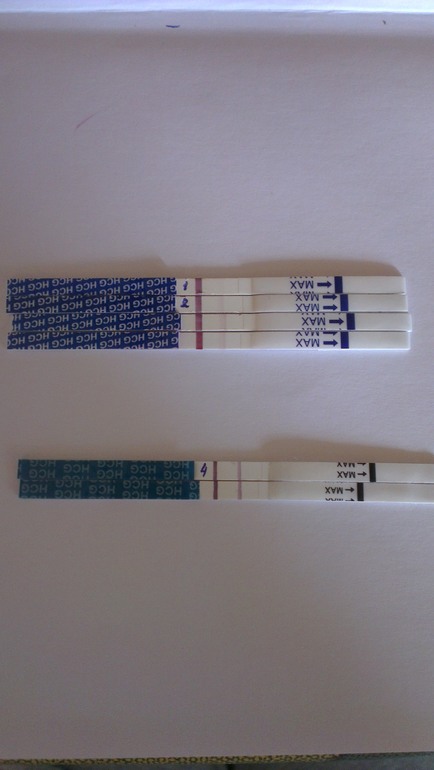 фрау меня доведут