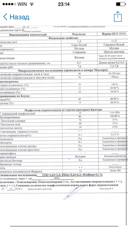 Образец выписки для эко