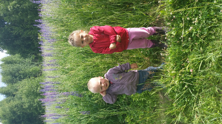 Почти месяц на даче..