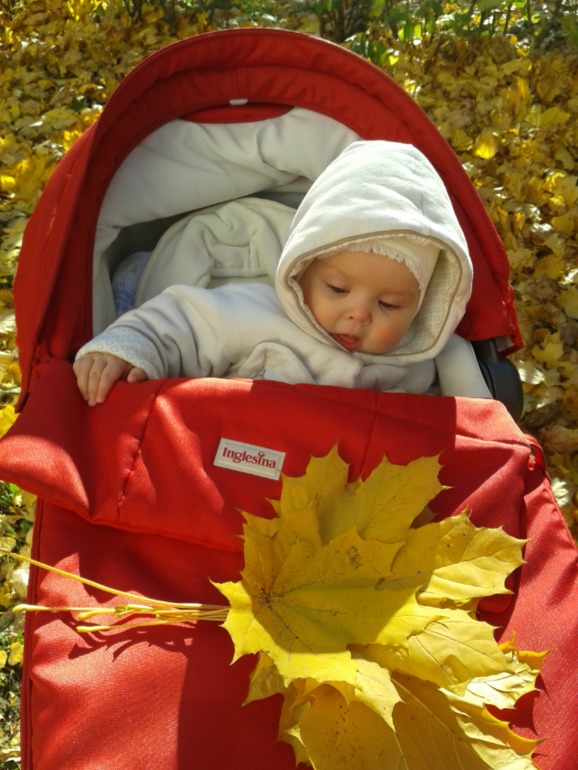 растем: 7 месяцев