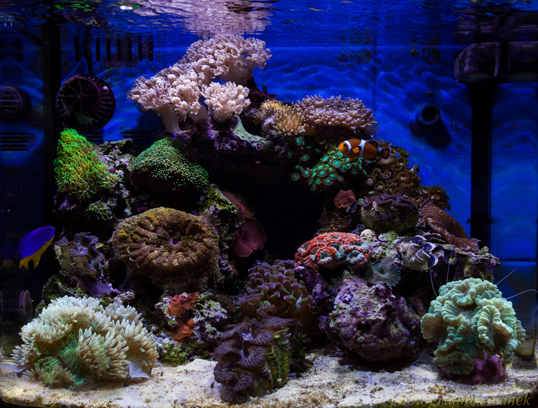 8138be5c04533f40b774d1ecb65d8437.jpg